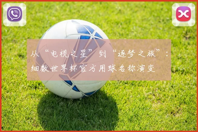 从“电视之星”到“逐梦之旅”：细数世界杯官方用球名称演变